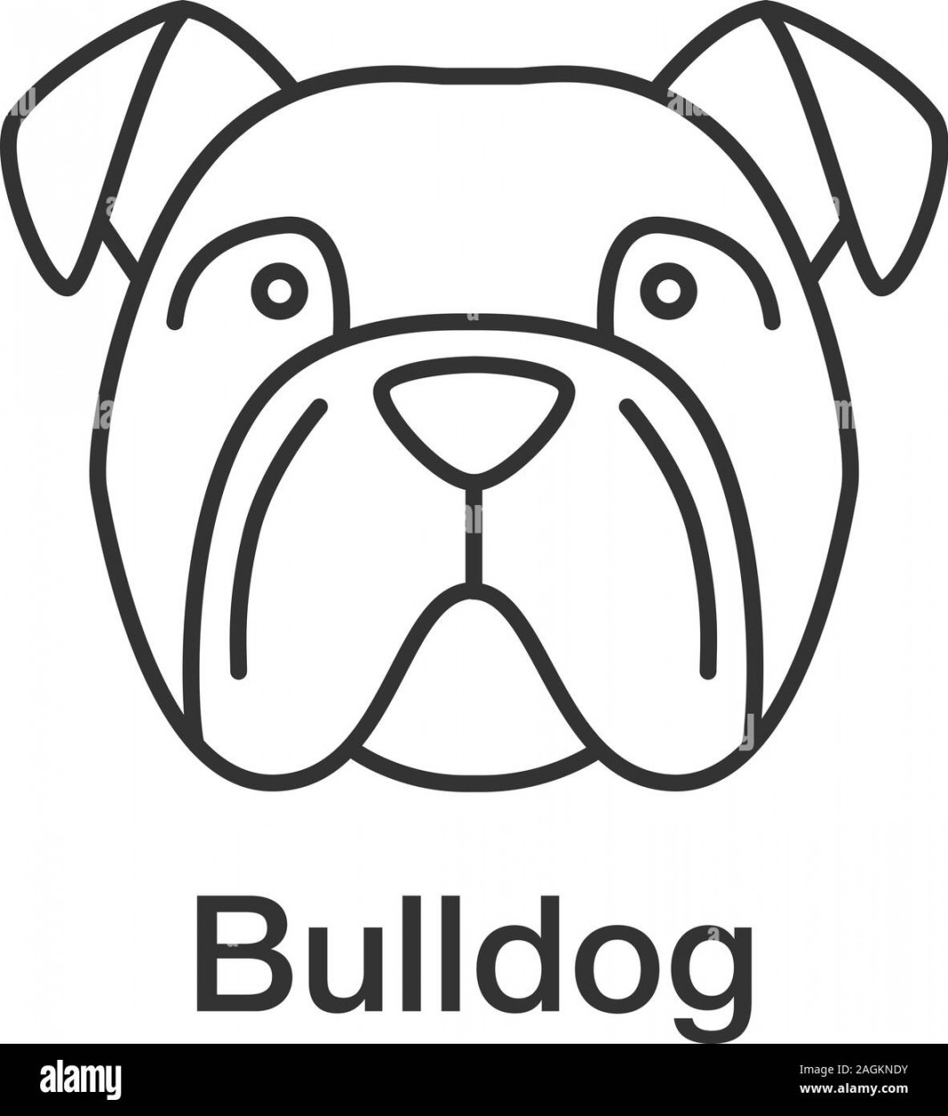 Bulldog drawing hi-res stock photography and images - Alamy