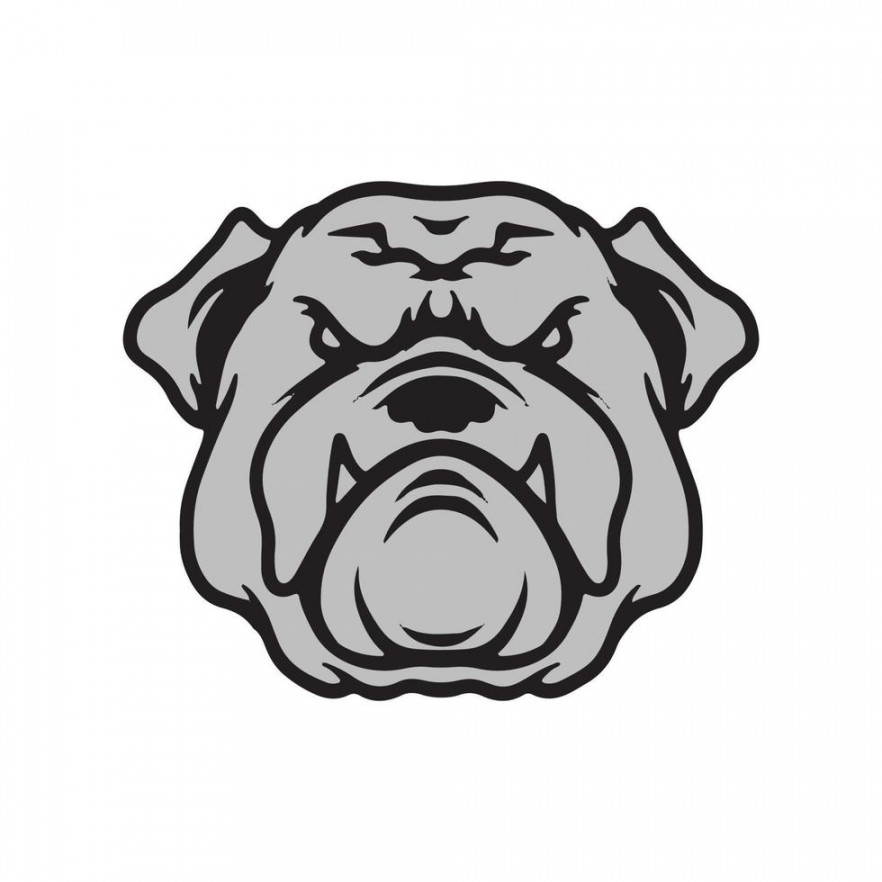 Bulldog Face Vector Art, Icons, and Graphics for Free Download