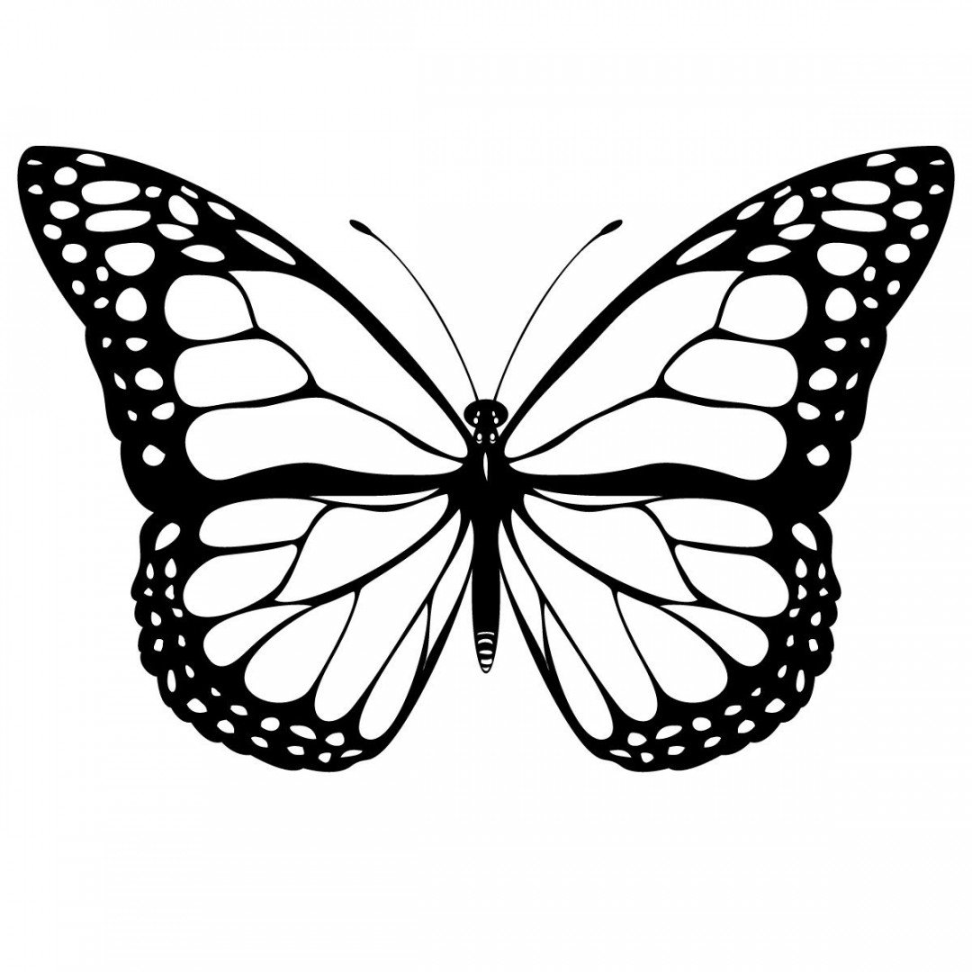 Butterfly Drawing Black And White Black And White Butterfly Tattoo