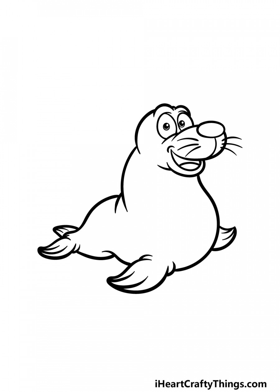 Cartoon Seal Drawing - How To Draw A Cartoon Seal Step By Step