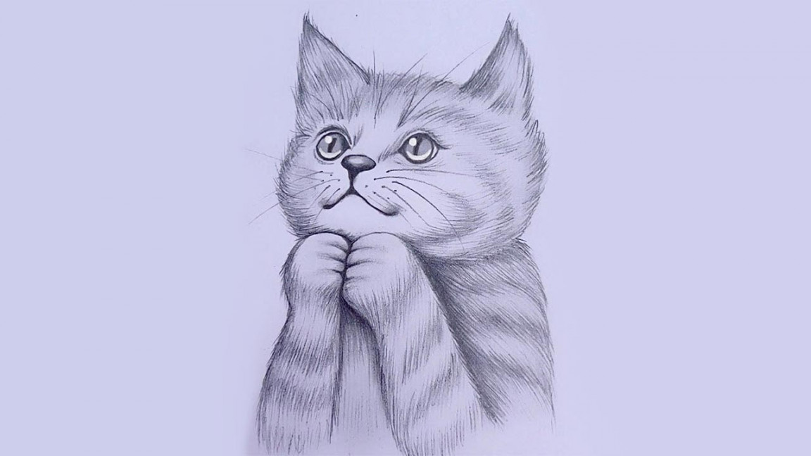 Cat Drawing Easy - Step by step Pencil Sketch for beginners  How to draw  a cute cat