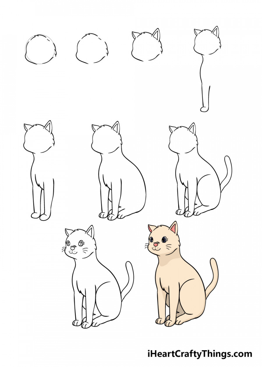 Cat Drawing - How To Draw A Cat Step By Step!