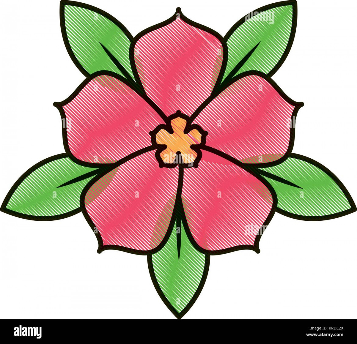 chinese flower sakura leaves foliage Stock Vector Image & Art - Alamy