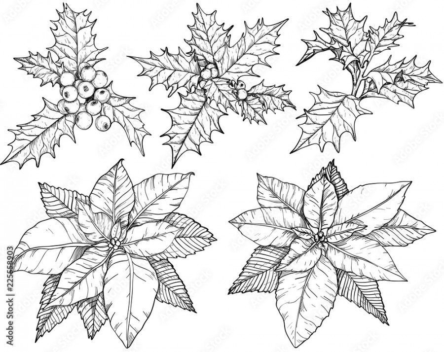 Christmas flowers set sketch