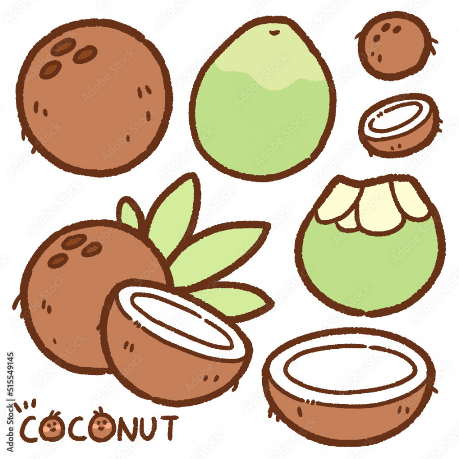 coconut cartoon drawing set Stock-Vektorgrafik  Adobe Stock