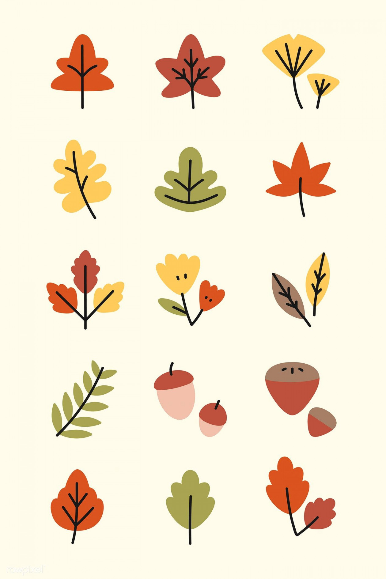 Colorful autumn leaves vector collection  free image by rawpixel