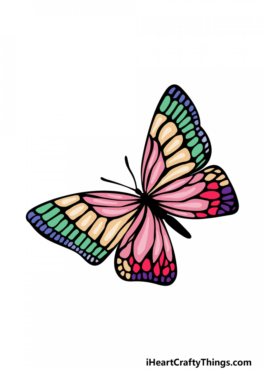 Colorful Butterfly Drawing - How To Draw A Colorful Butterfly Step