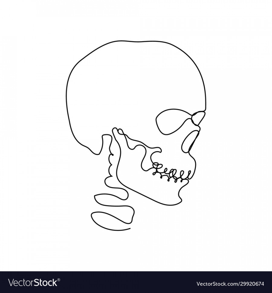 Continuous human skull one line art Royalty Free Vector