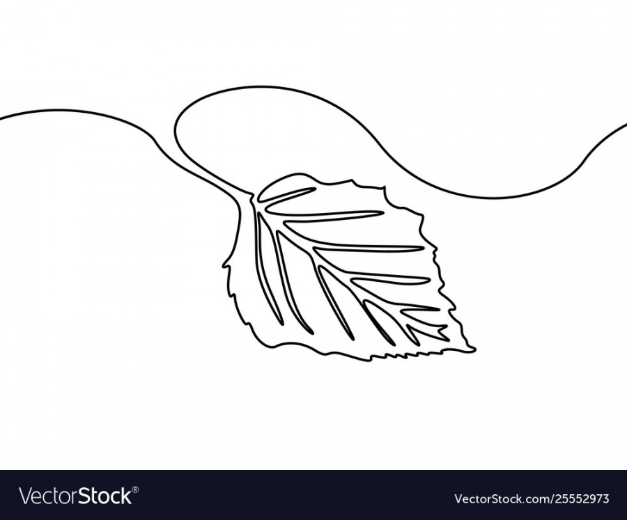 Continuous one line drawing tree leaf nature Vector Image