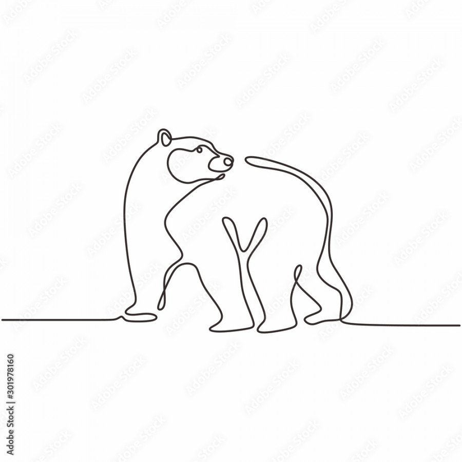 Continuous single line drawing of bear wild animals vector