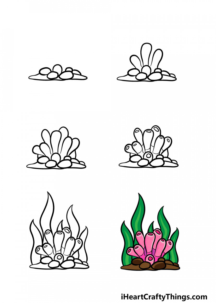 Coral Drawing - How To Draw Coral Step By Step