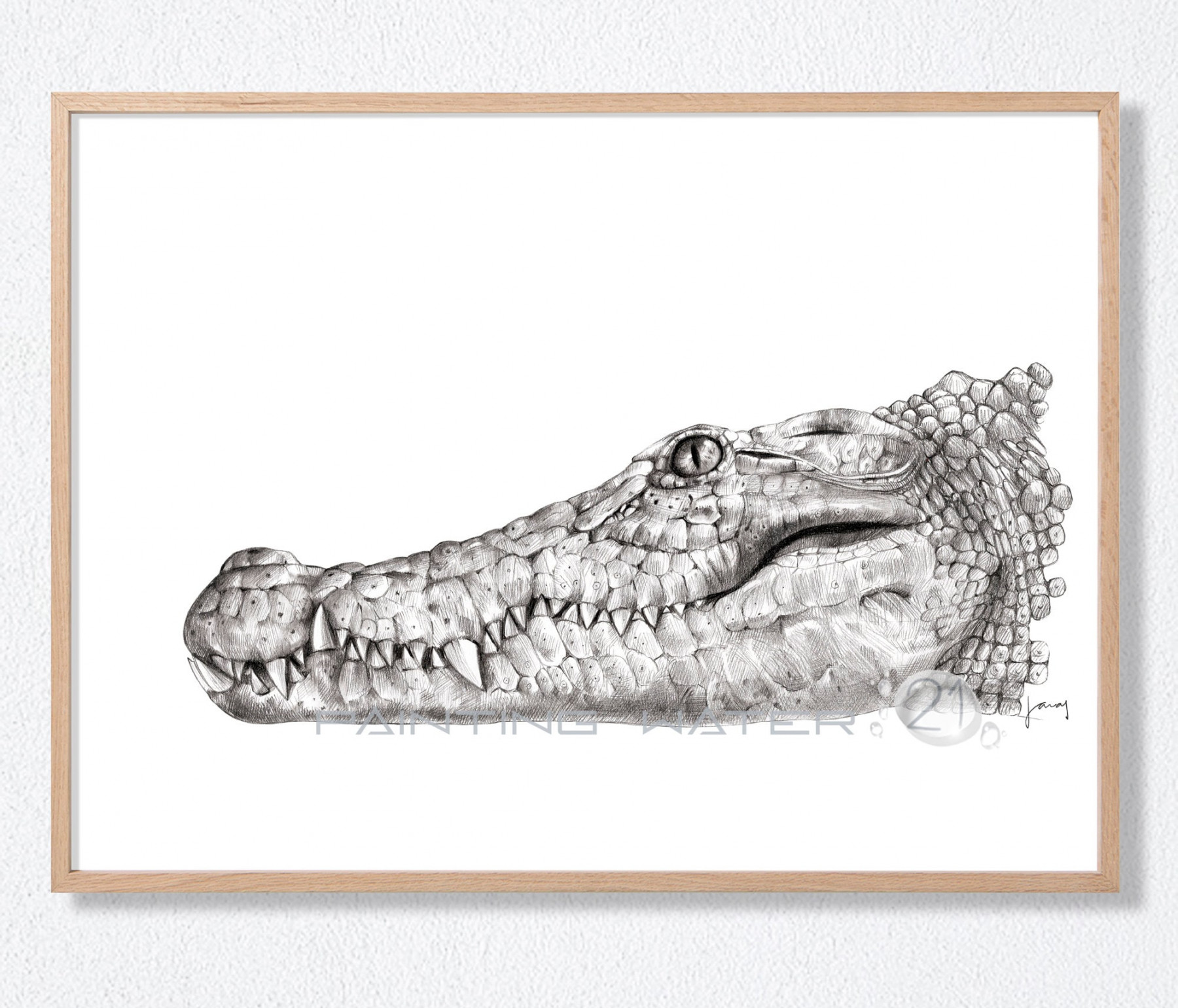 Crocodile, Alligator, Animal Art, Realistic Drawing Pencil