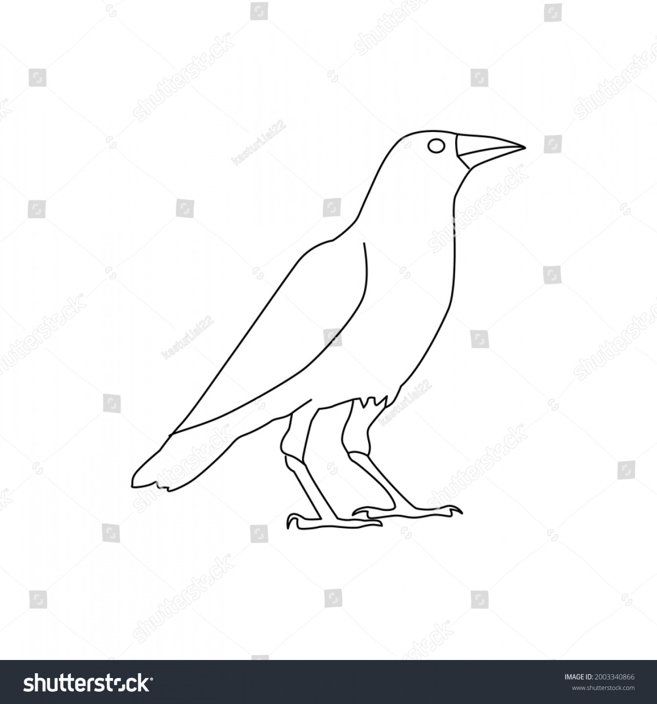 Crow Line Drawing Clip Art 库存矢量图（免版税）