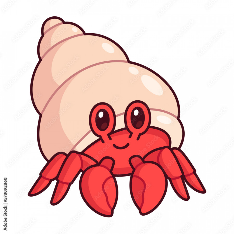 Cute cartoon hermit crab drawing Stock-Vektorgrafik  Adobe Stock