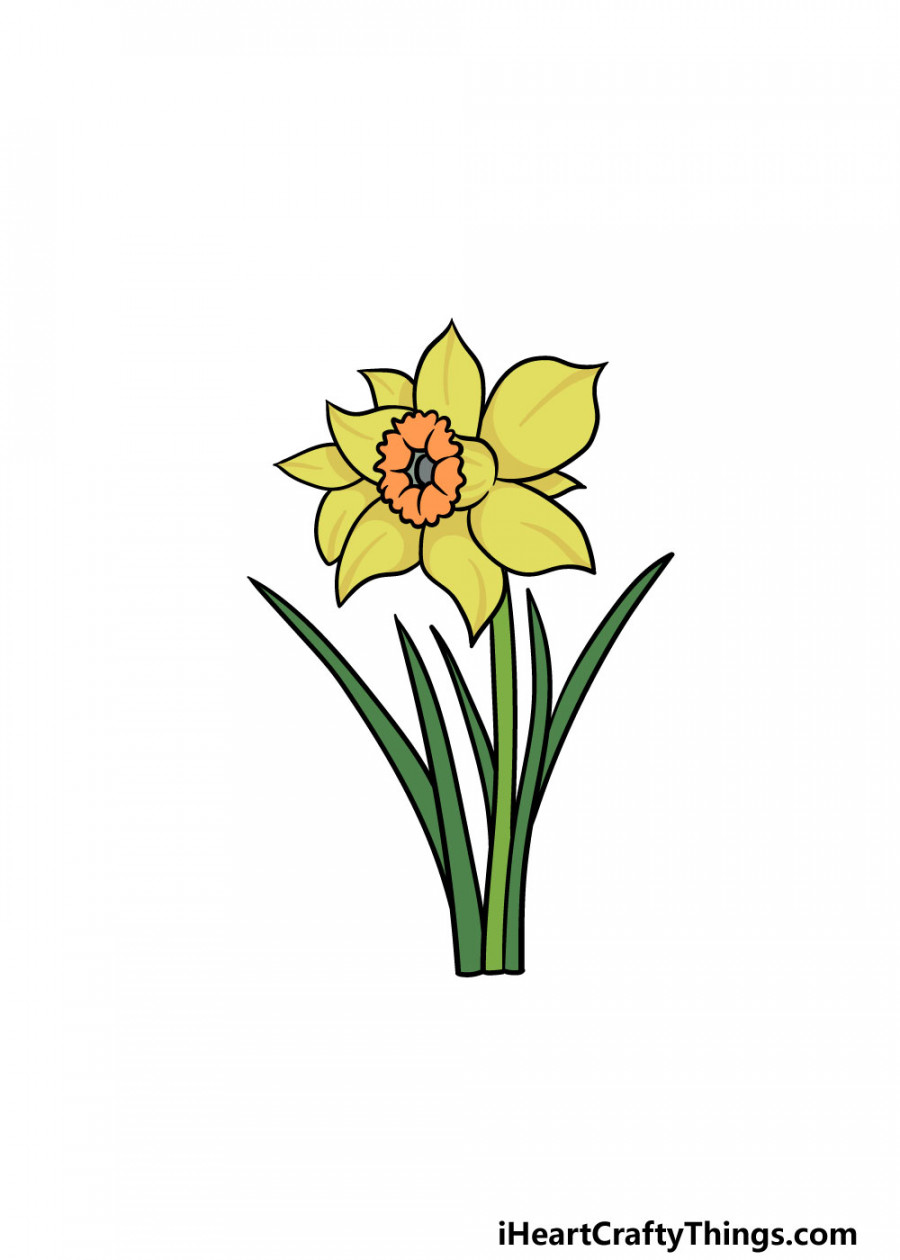 Daffodil Drawing - How To Draw A Daffodil Step By Step