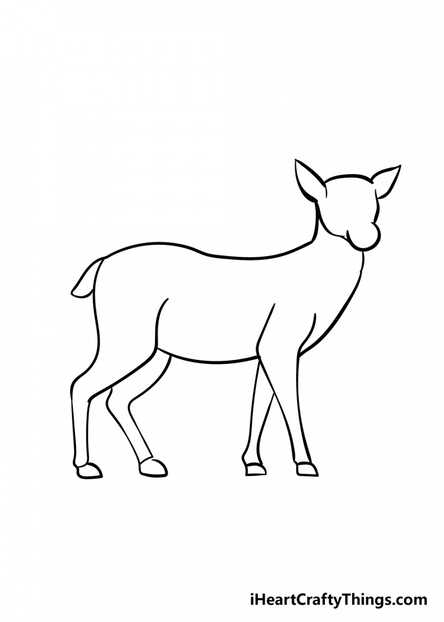 Deer Drawing - How To Draw A Deer Step By Step!