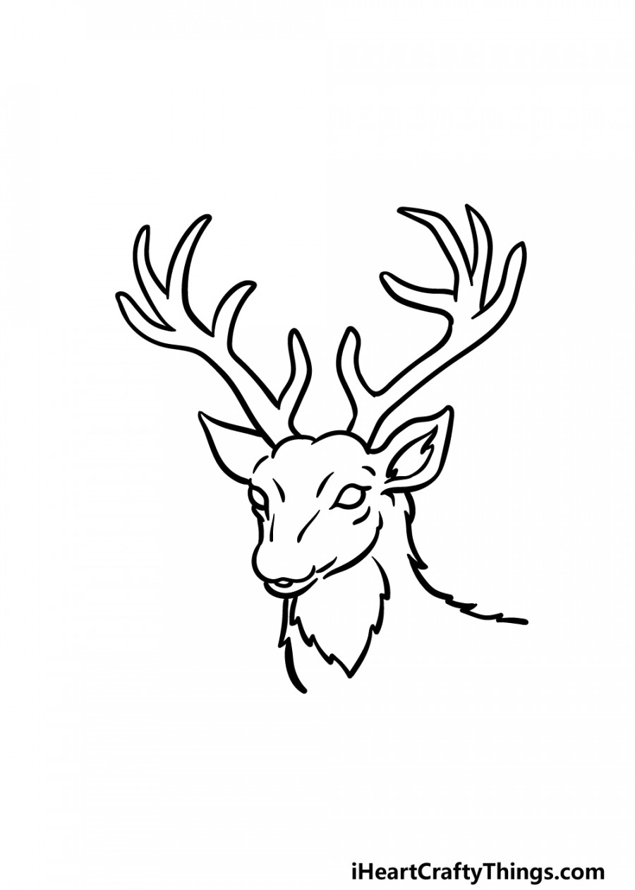 Deer Head Drawing - How To Draw A Deer Head Step By Step