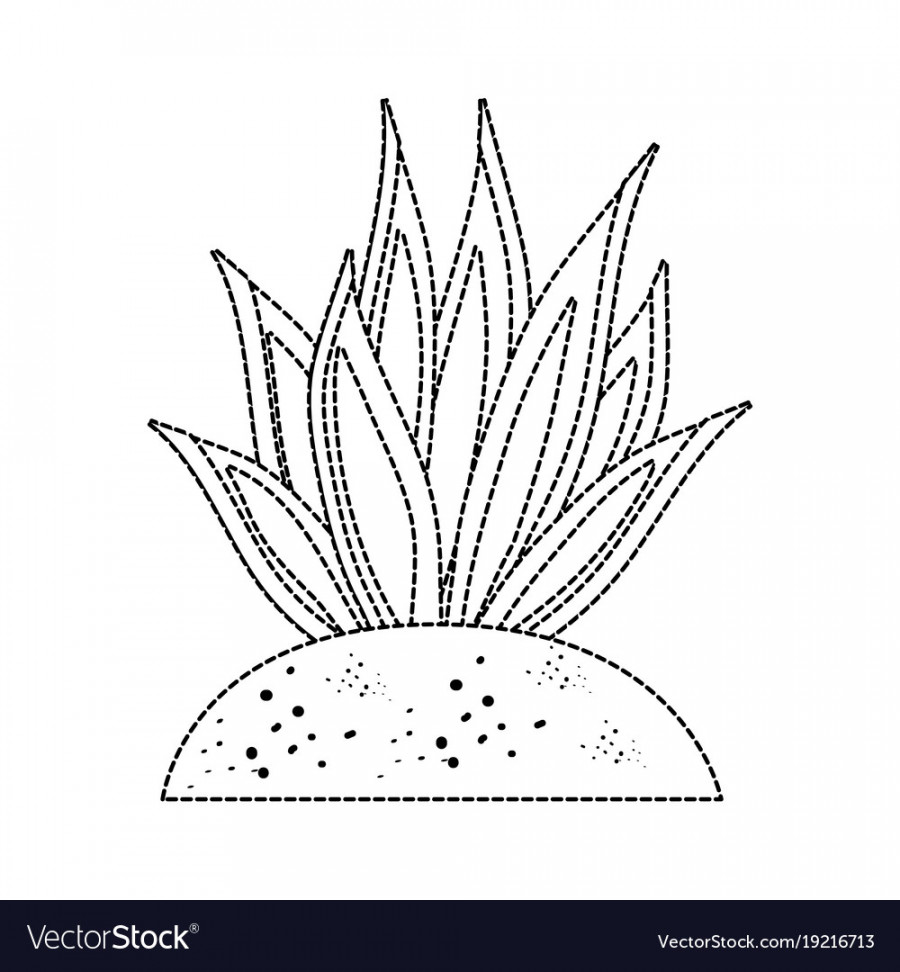 Desert plant draw Royalty Free Vector Image - VectorStock