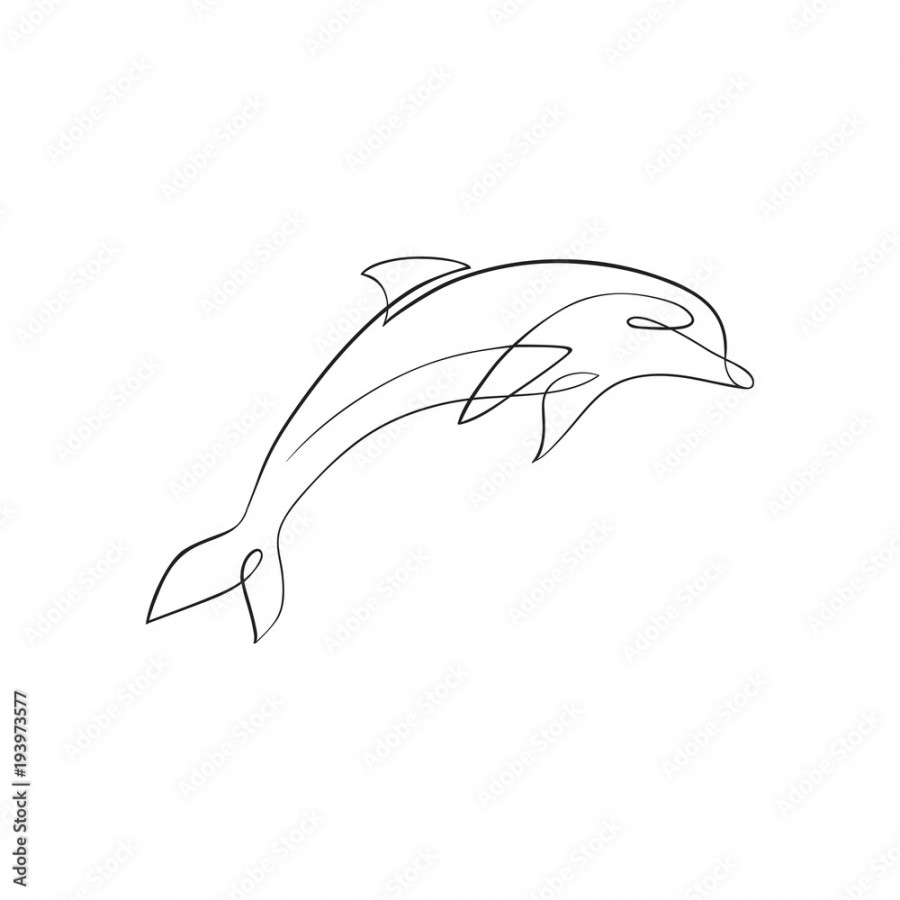 Dolphin line art Stock-Vektorgrafik  Adobe Stock