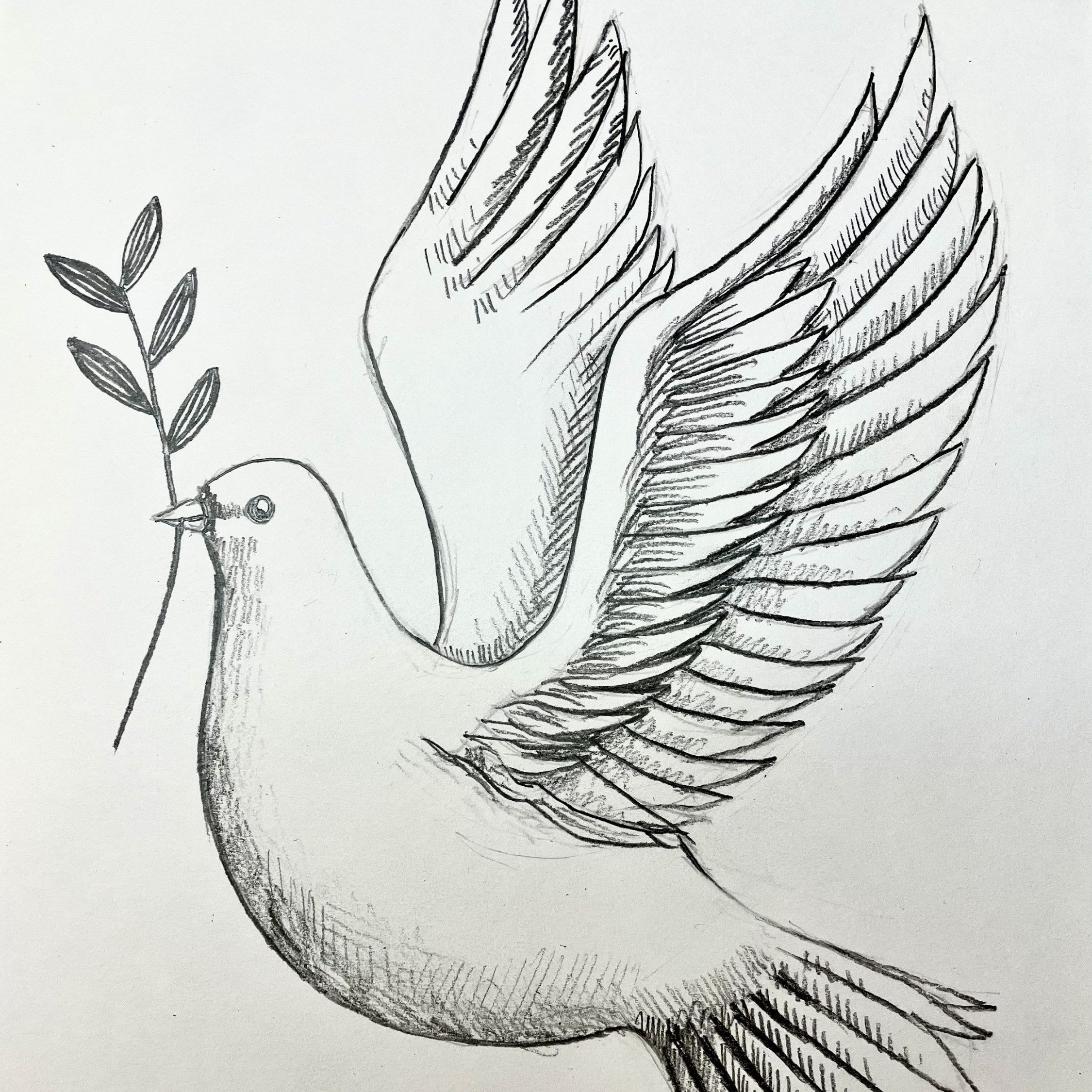 DOVE Drawing Pre-recorded Class  mins (kids/teens/adults) £