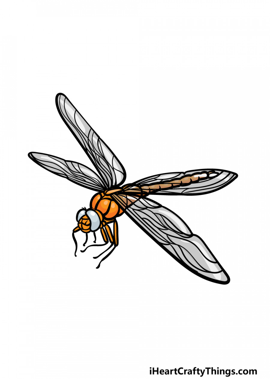 Dragonfly Drawing - How To Draw A Dragonfly Step By Step