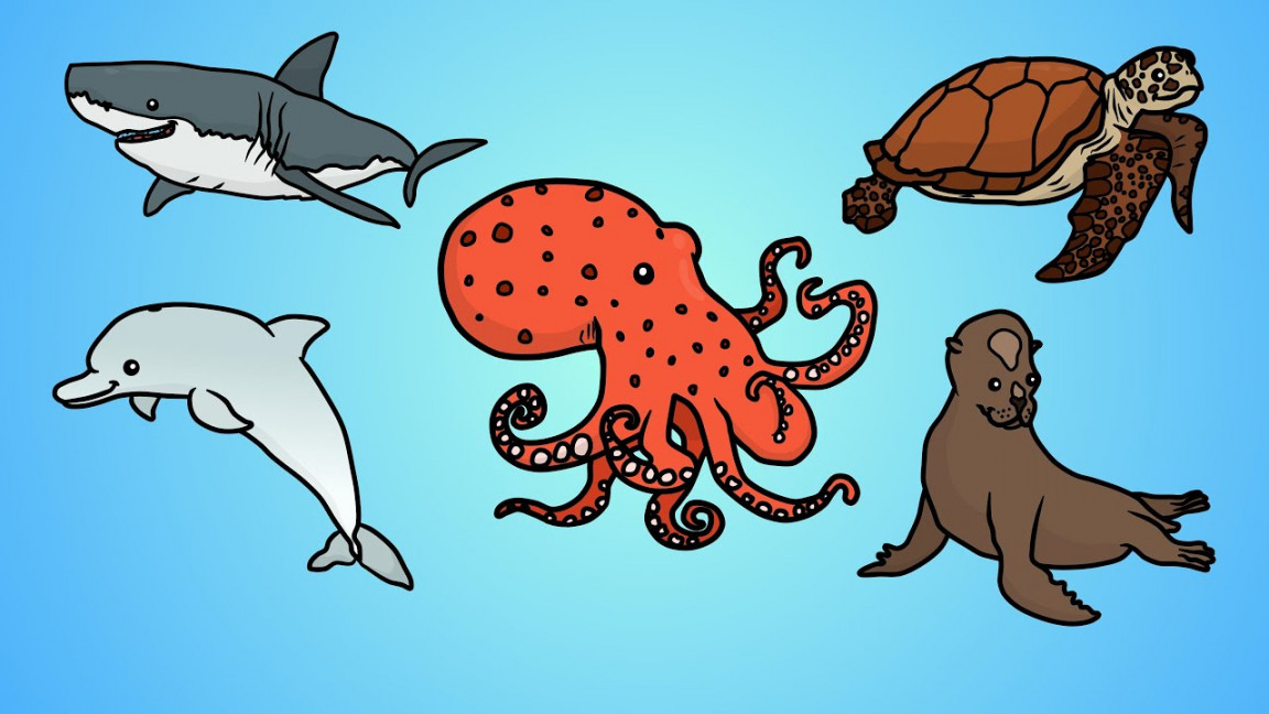 Draw Five: How to Draw Ocean Animals