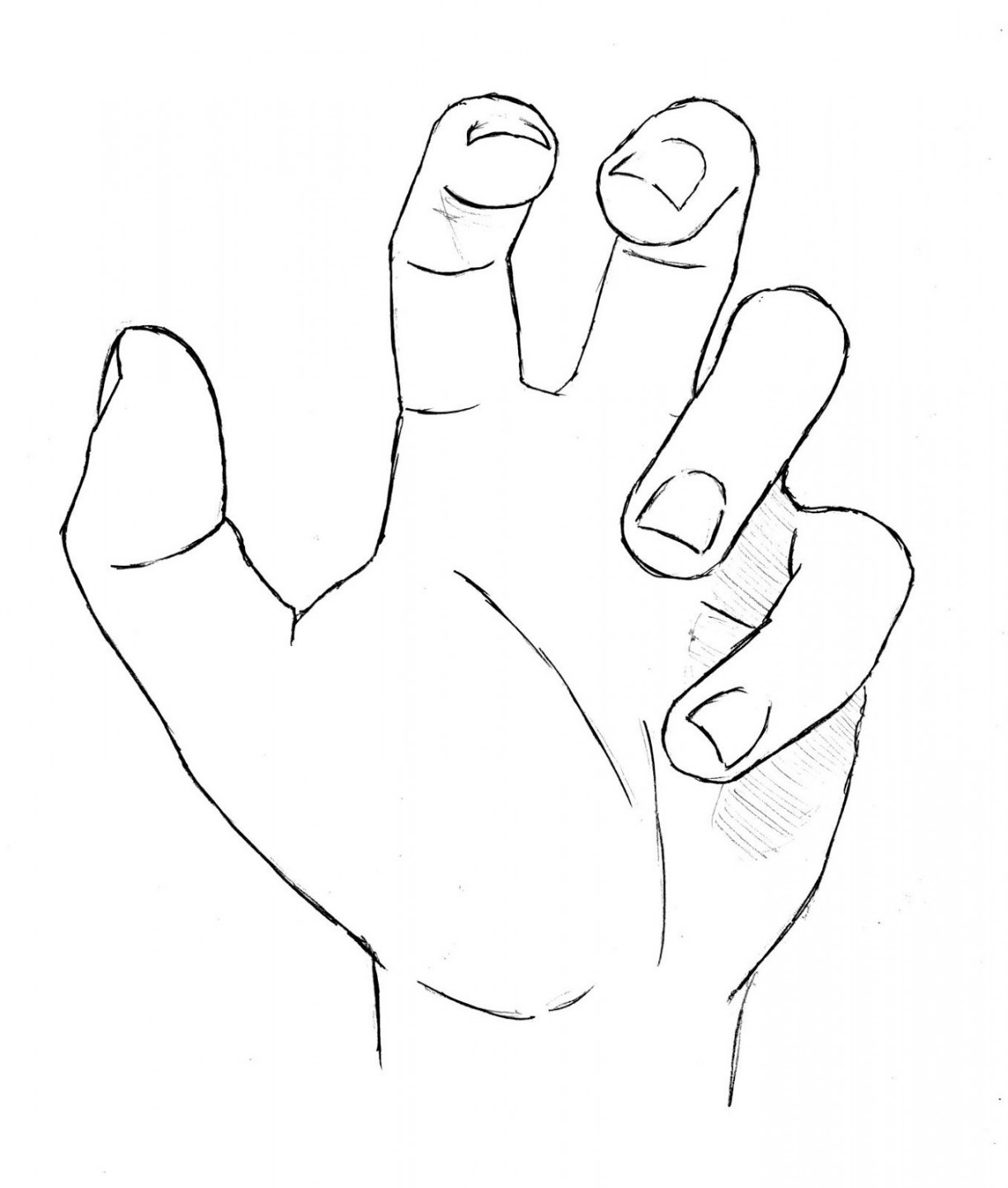 draw hand open palm finished  How to draw hands, Hand drawing