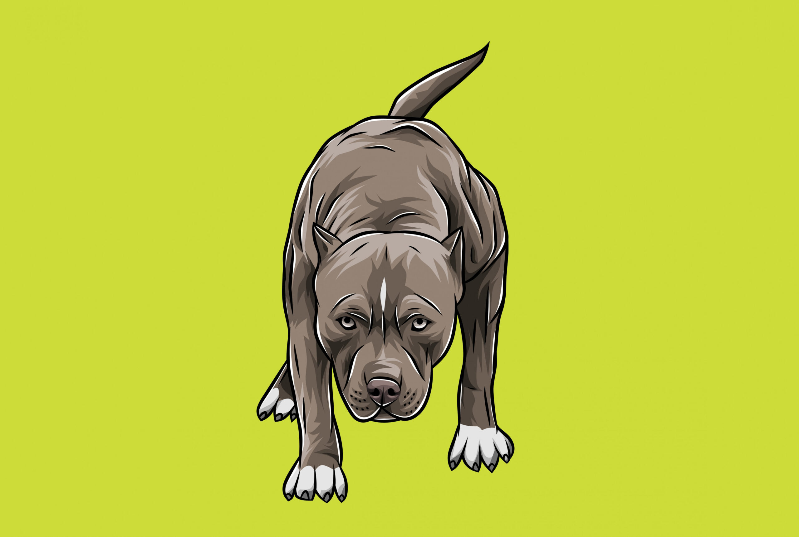 draw your pitbull into vector art cartoon