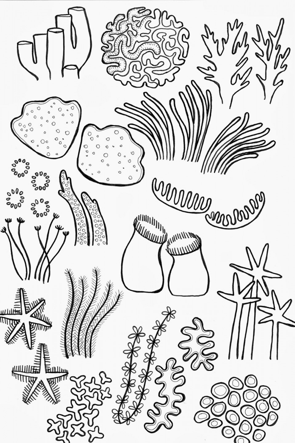 Drawing Underwater Coral Reef Sketch Coloring Page  Coral drawing