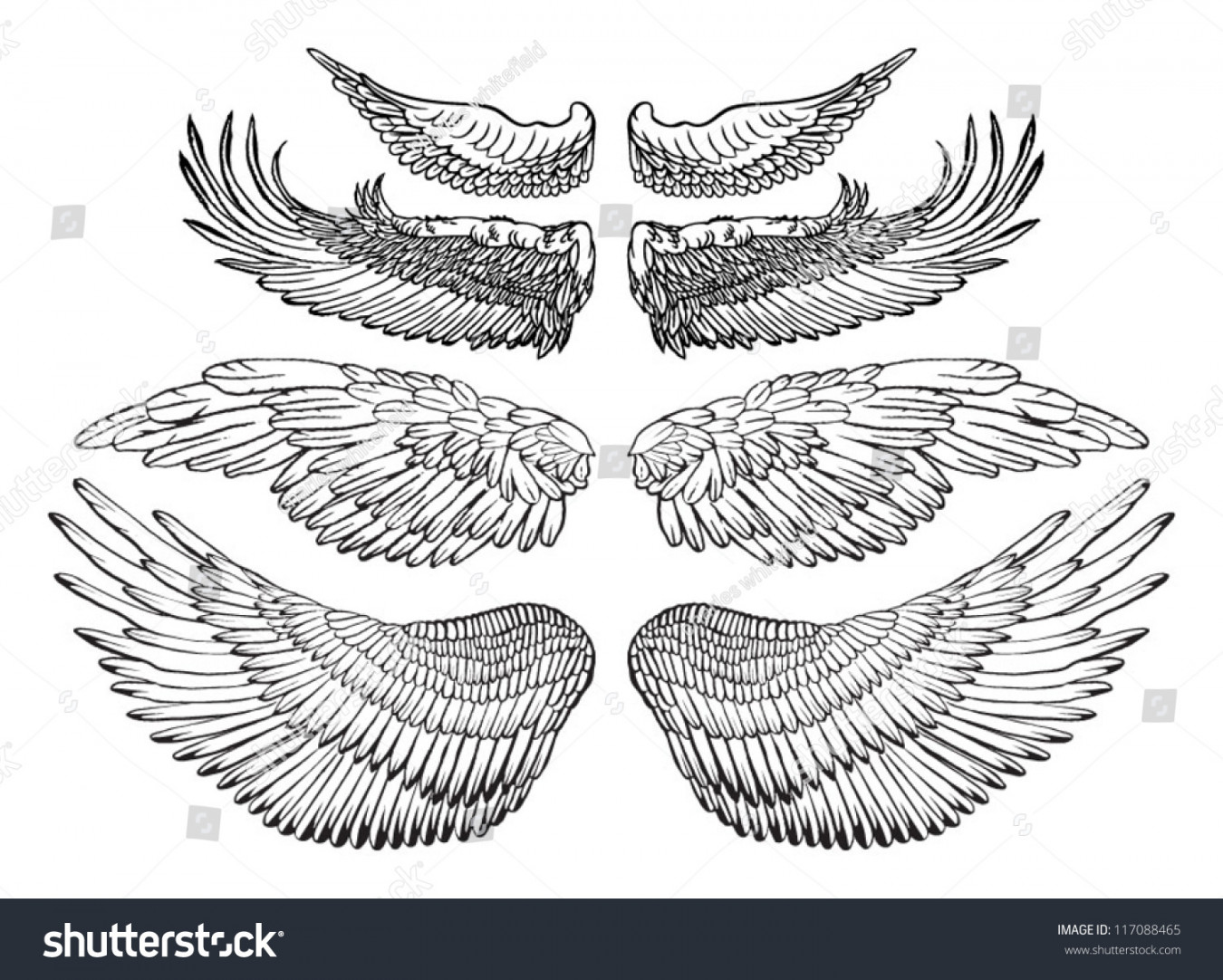 Eagle Wings Vector Drawing: Stock-Vektorgrafik (Lizenzfrei