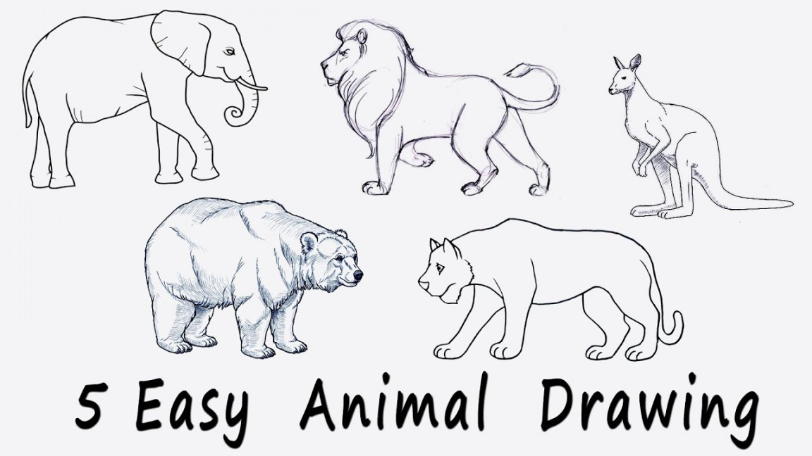 🟢  Easy Animal Drawing for Kids