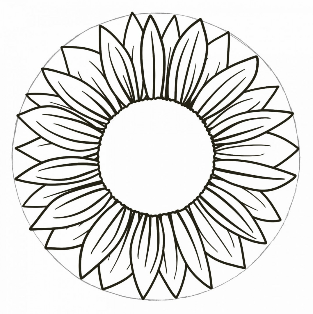 EASY How to Draw a Sunflower - Easy Tutorial for Kids