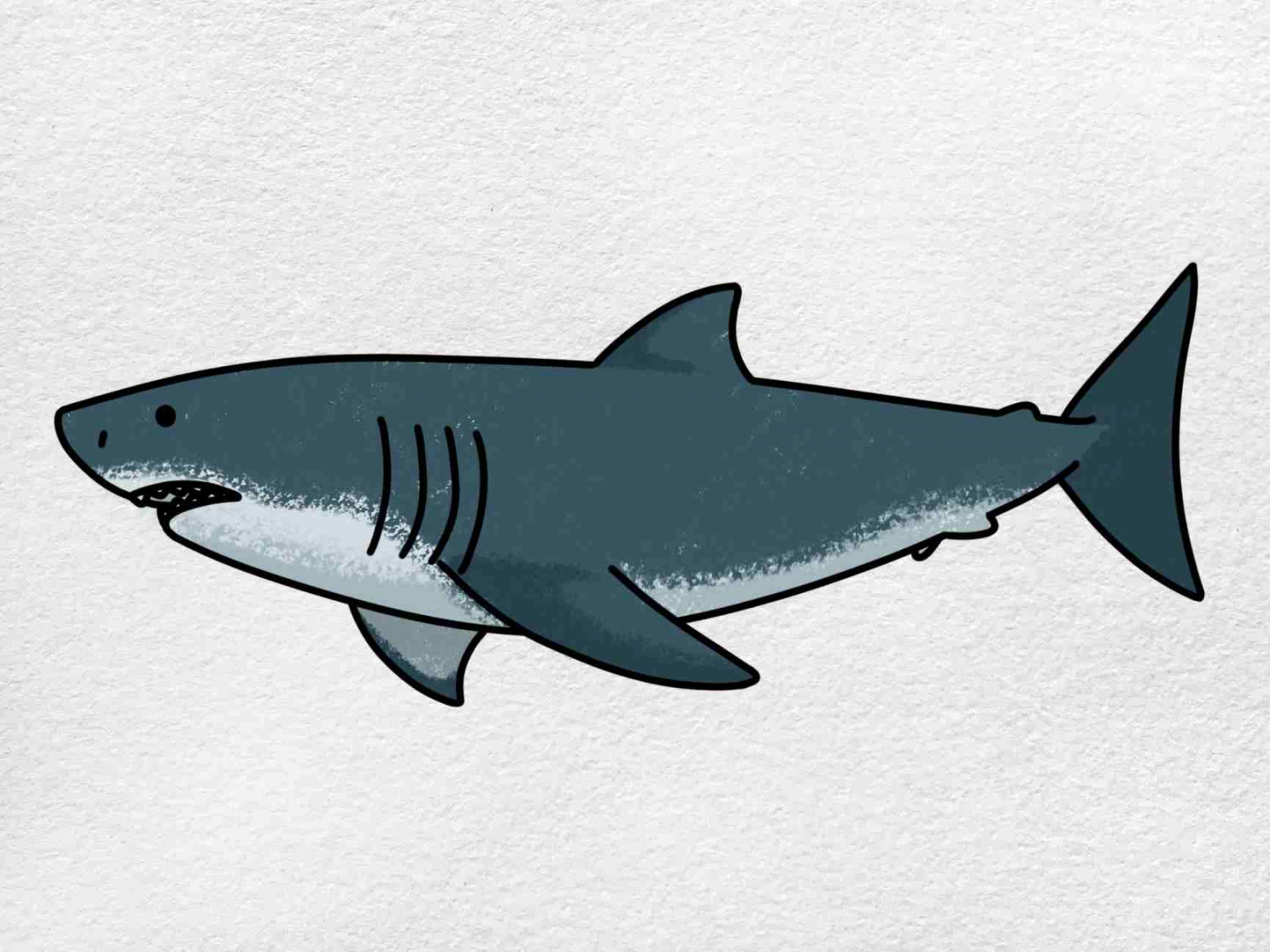 Easy Shark Drawing - HelloArtsy