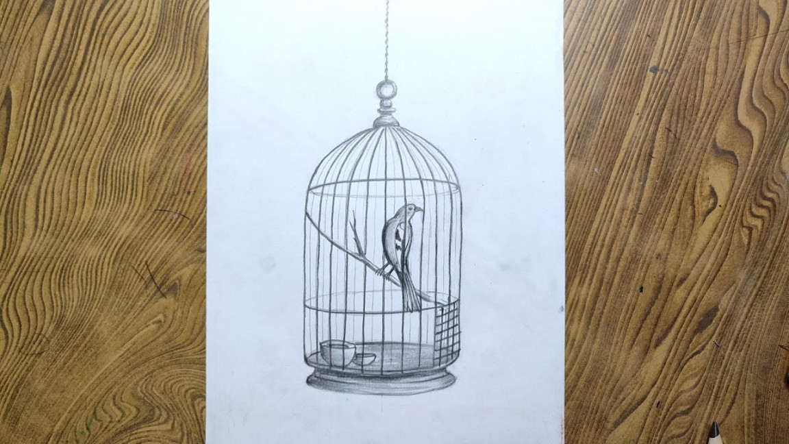 Easy way to draw bird in cage step by step for beginners