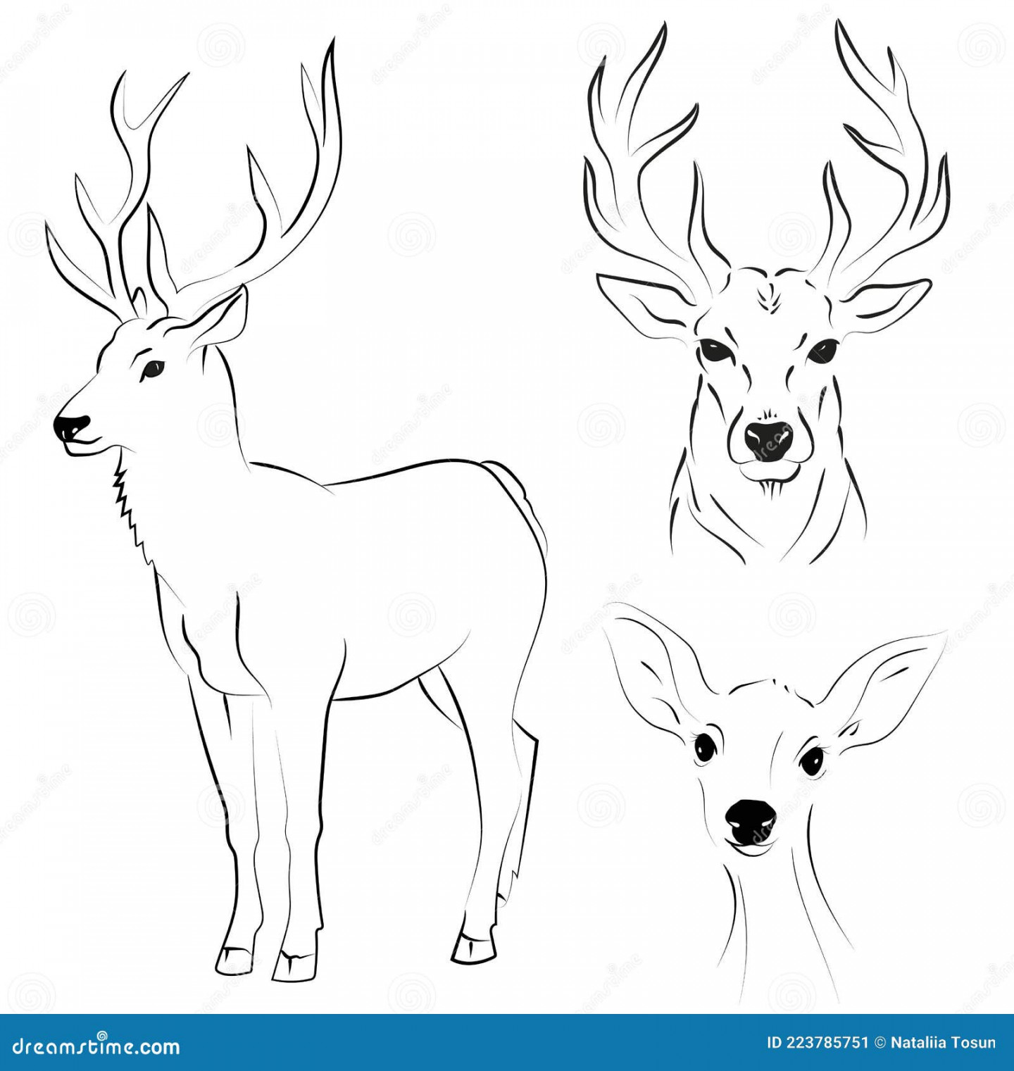 Elegant Outline Drawing of Deer, Vector Illustration