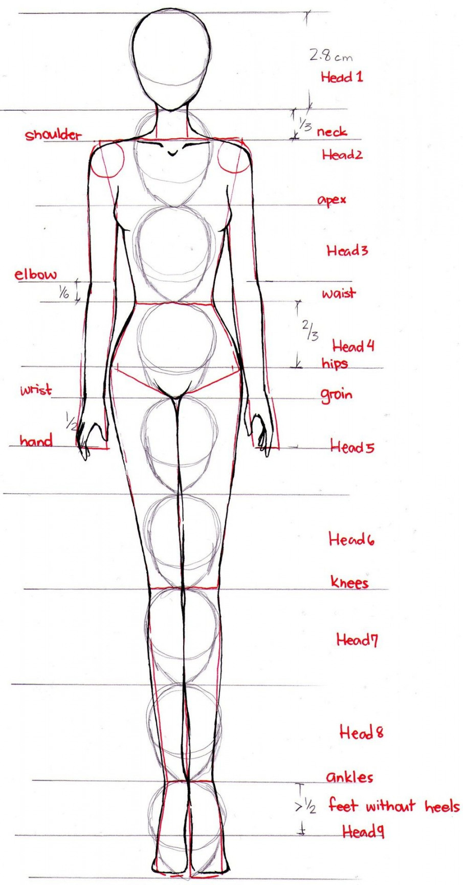 fashion sketch body proportions  Fashion drawing, Fashion