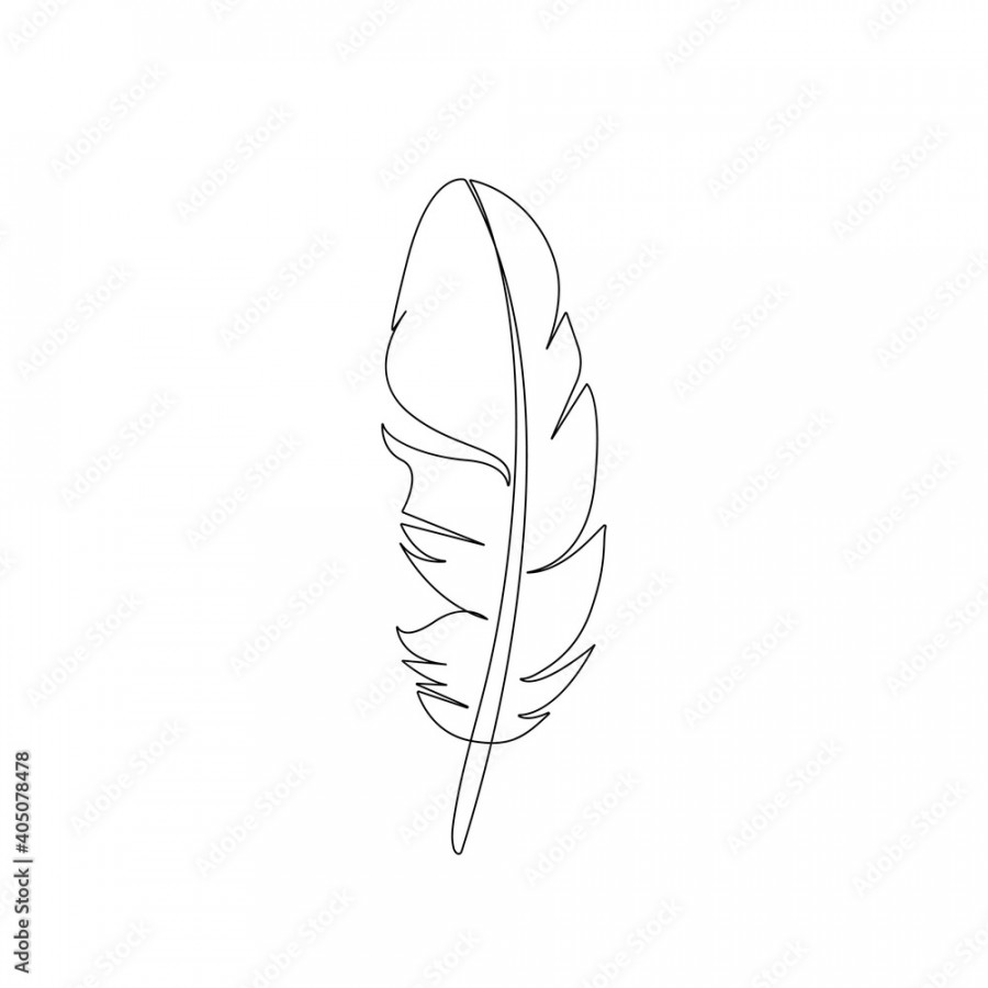 Feather Continuous One Line Drawing