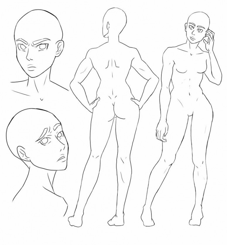 Female Base Character Sheet by carribu on DeviantArt