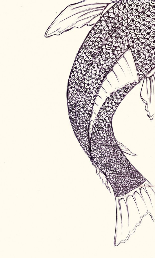 Fish Scales by WizeEyez on DeviantArt  Fish illustration, Fish