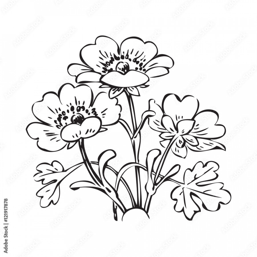 Floral bush retro black on white background vector, hand drawn