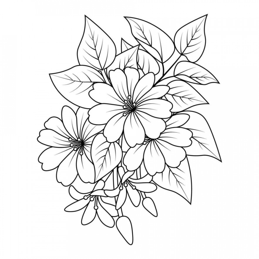 flower coloring page of black and white outline clipart for