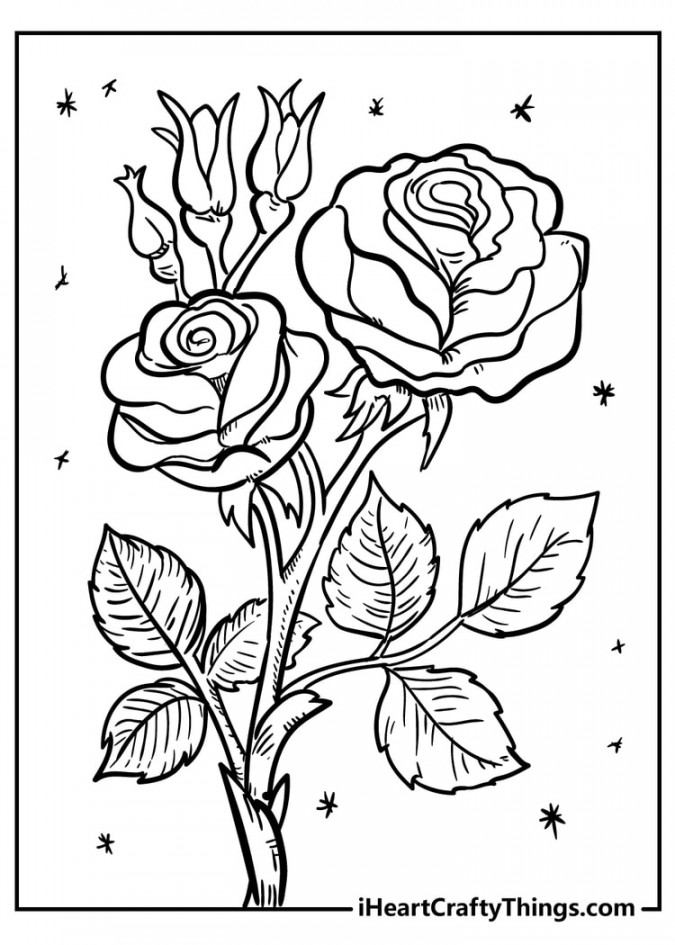 Flower Coloring Pages (% Free Printables)