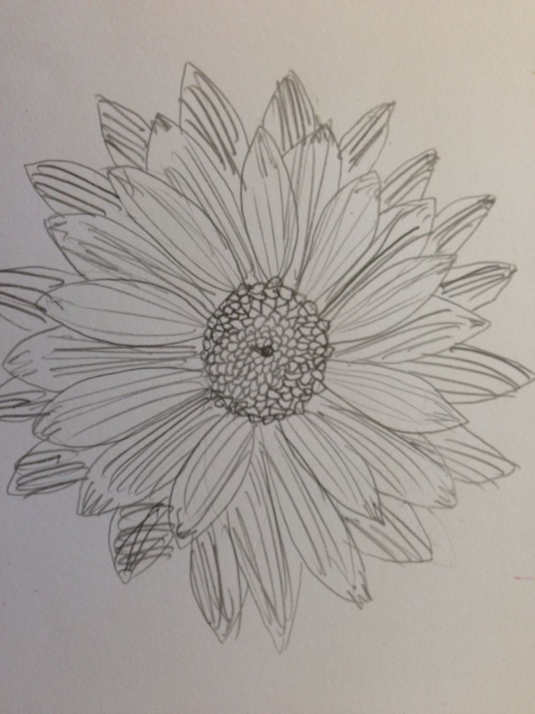 Flower drawing from real flower  Flower drawing, Drawings, Real