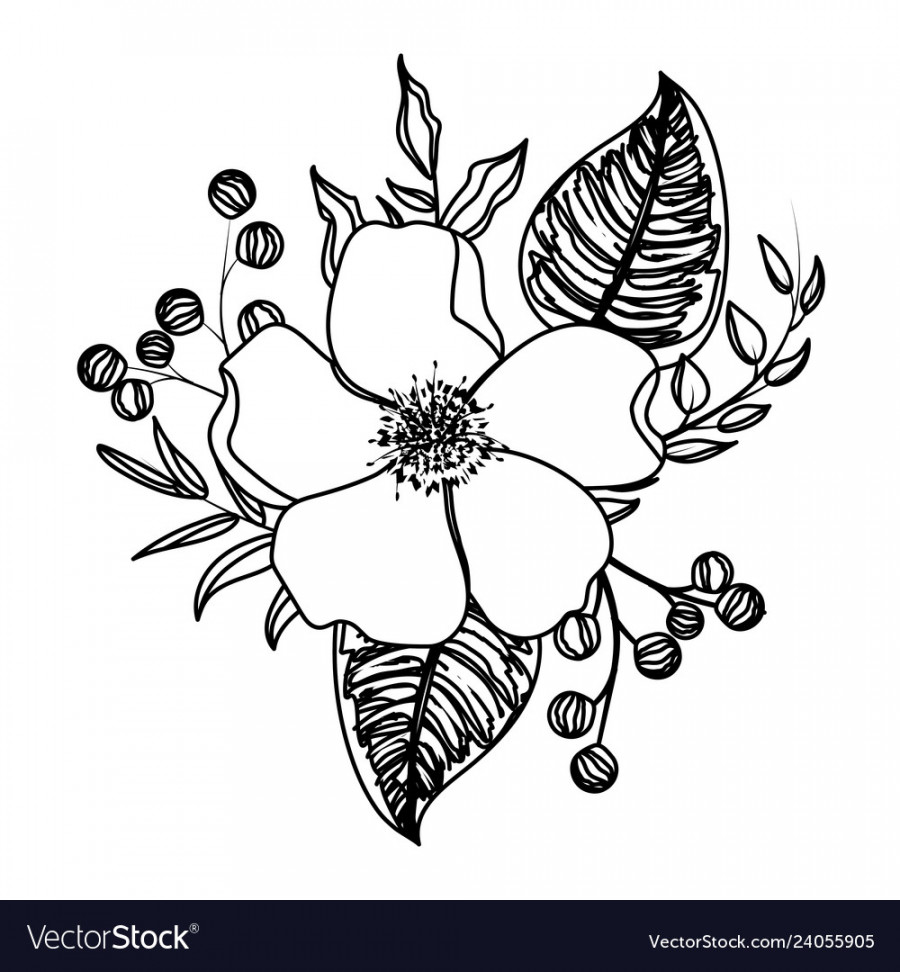 Flower with leaves drawing Royalty Free Vector Image