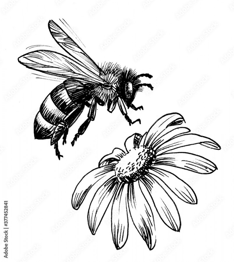 Flying honey bee and blossoming flower