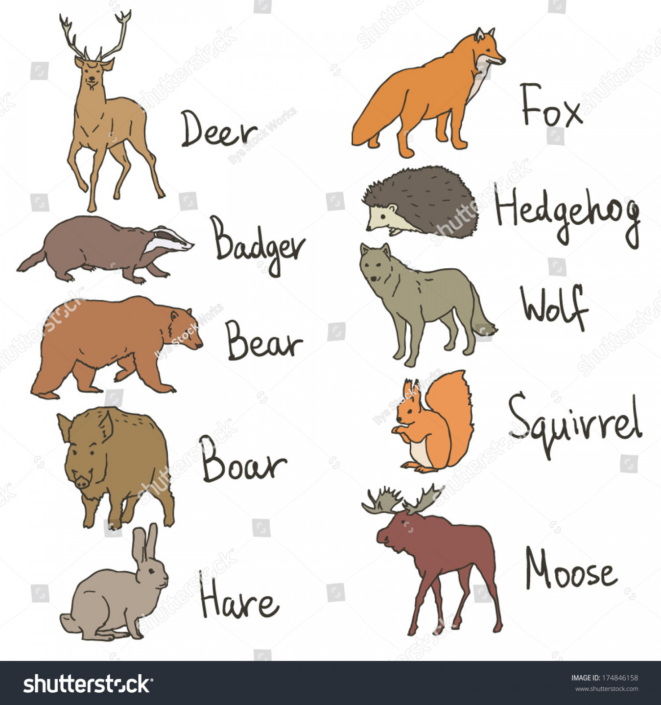 Forest Animals Drawings Icons Set On: Stock-Vektorgrafik