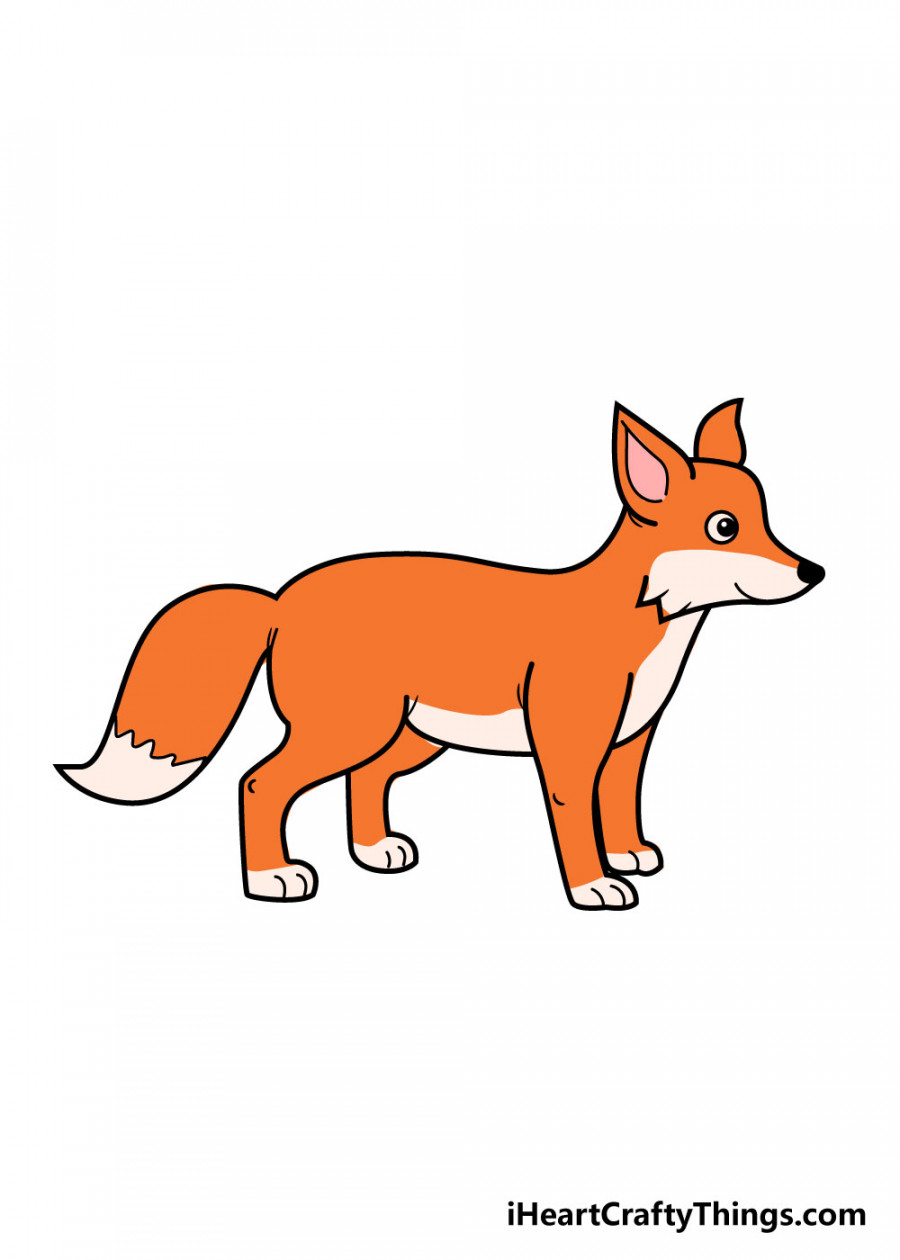 Fox Drawing - How To Draw A Fox Step By Step!