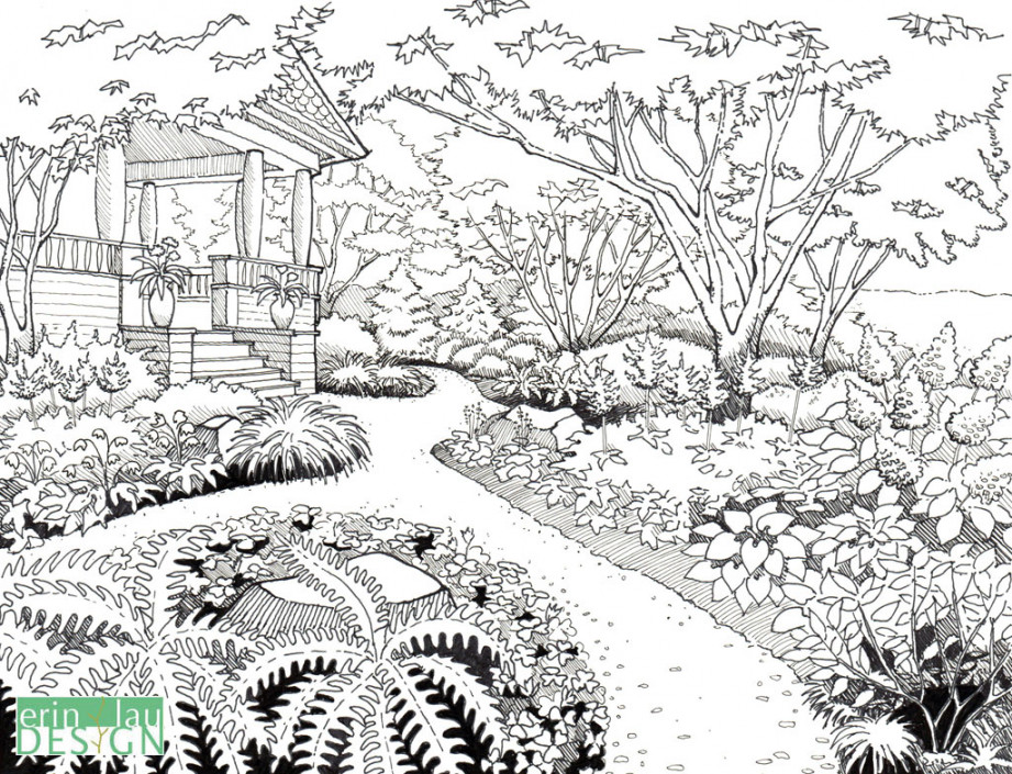 Garden Drawing Details  DrawnToGarden