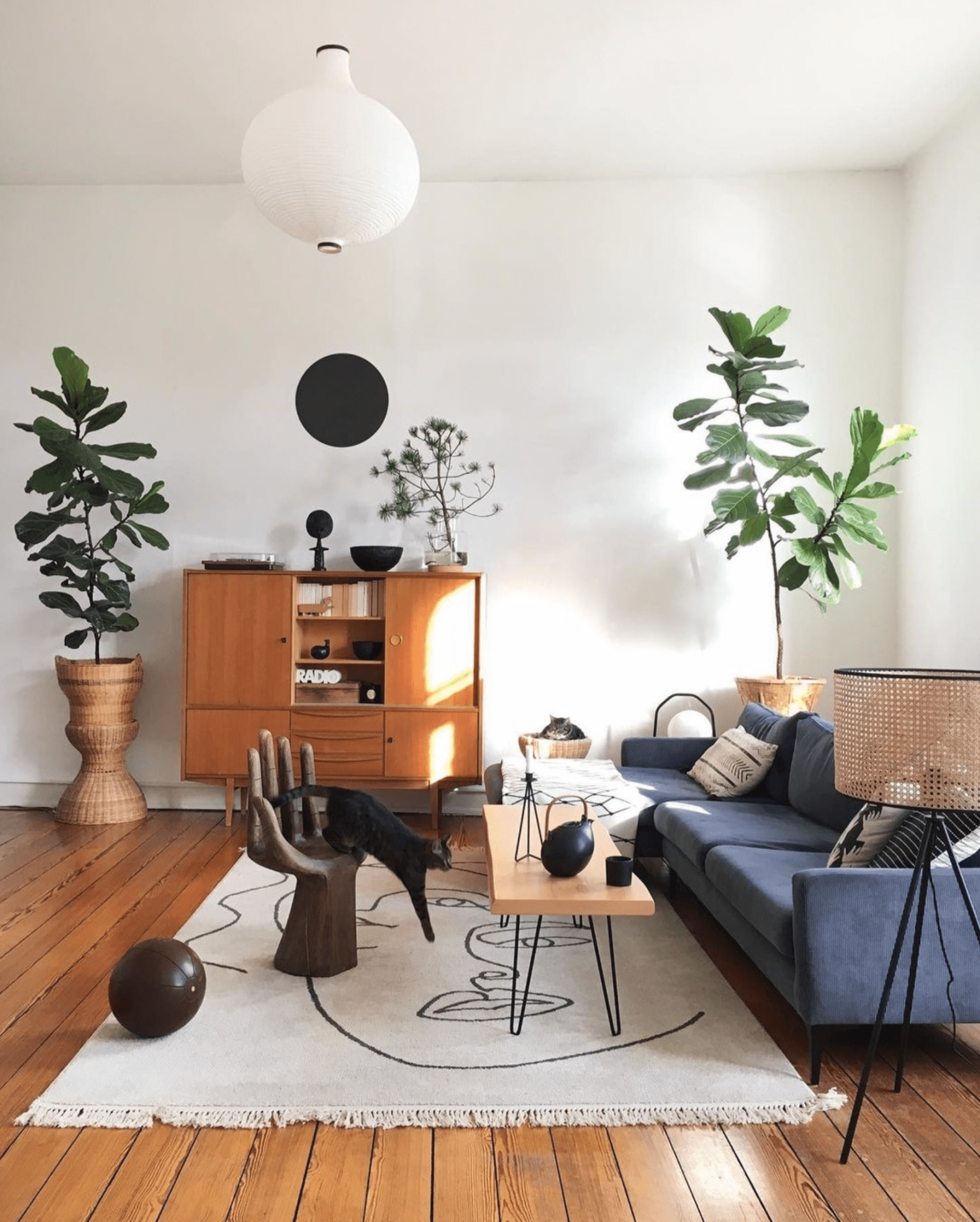 Gorgeous Houseplants That Will Thrive in Your Living Room