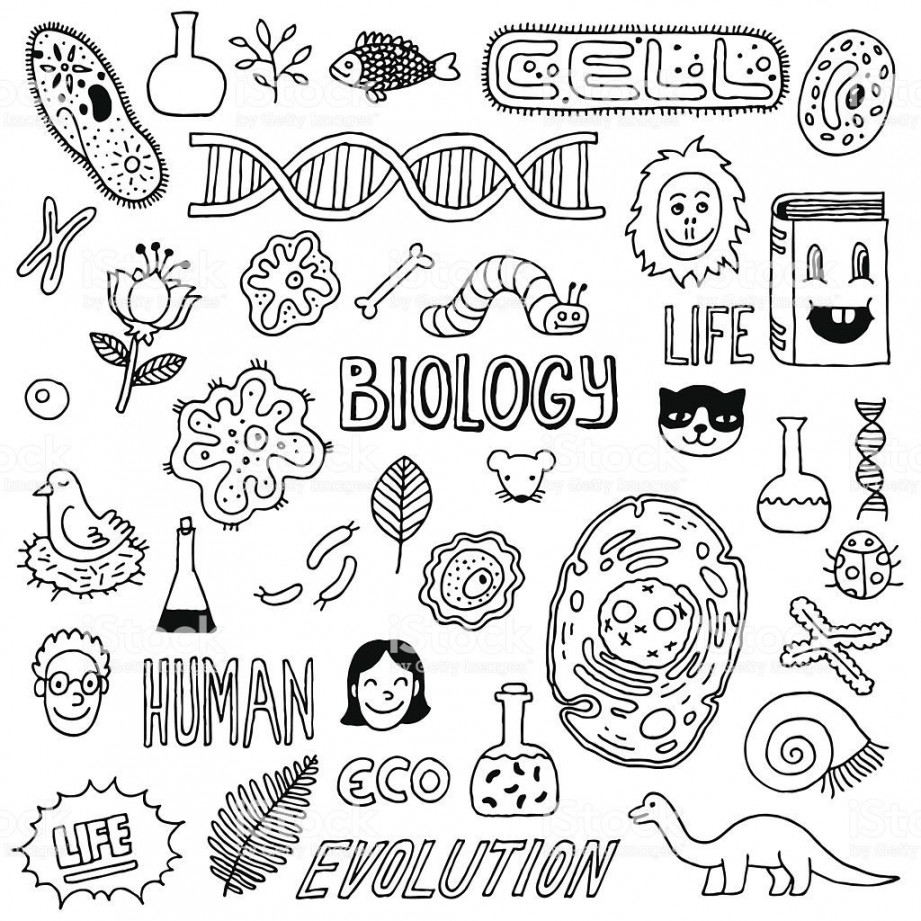 Hand-drawn biology inspired images. The background is white